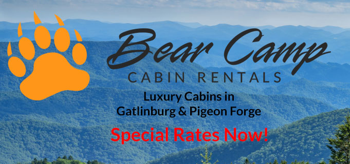 Bear Camp Cabin Rentals