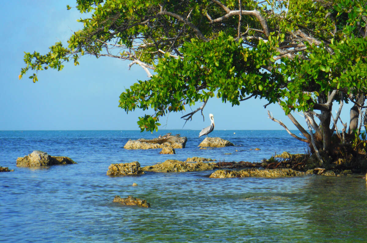 Bahia Honda State Park in the Florida Keys