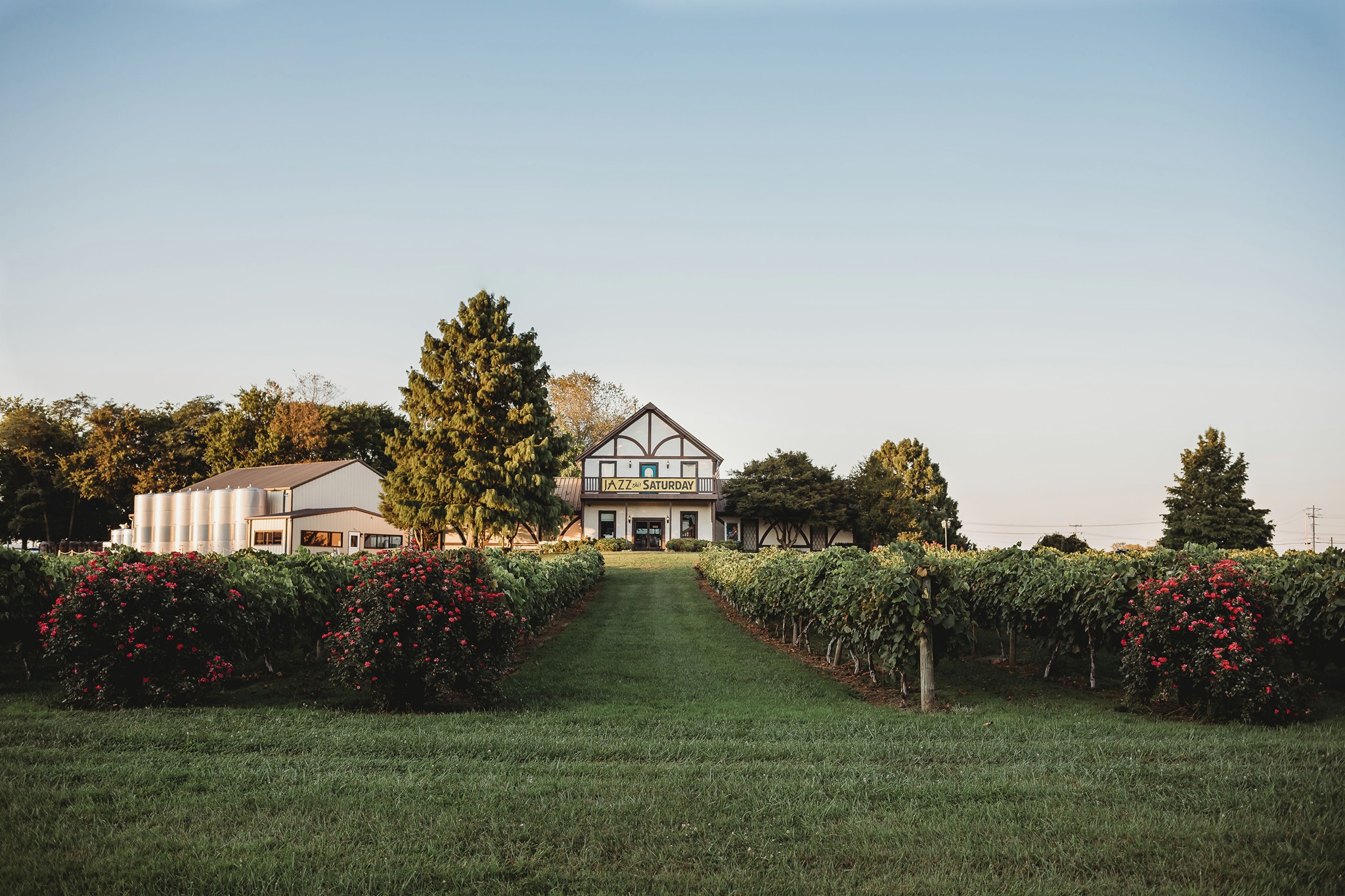 Beachaven Vineyards and Winery in Clarksville Tennessee