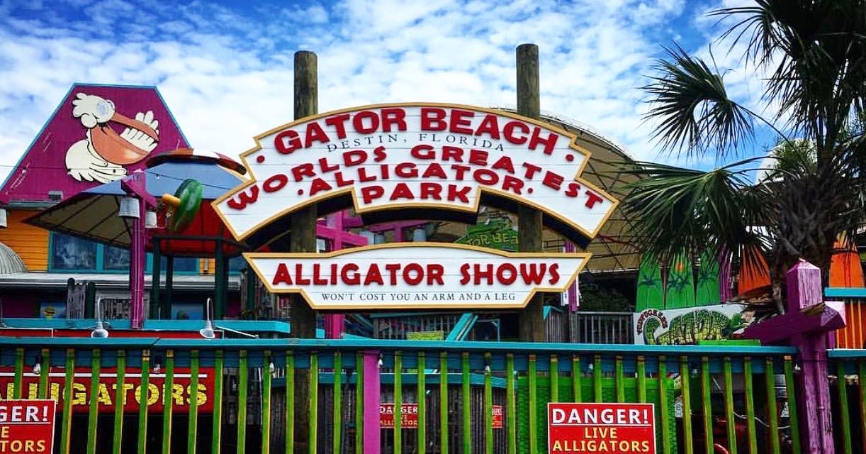 Gator Beach Alligator Park in Destin Florida