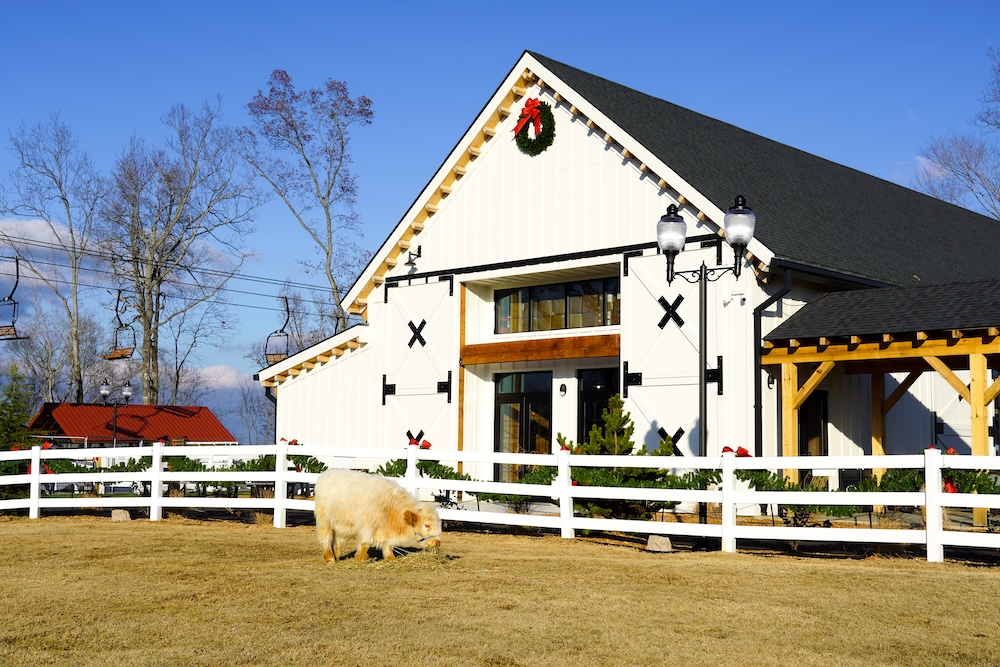 SkyLand Ranch in Sevierville.