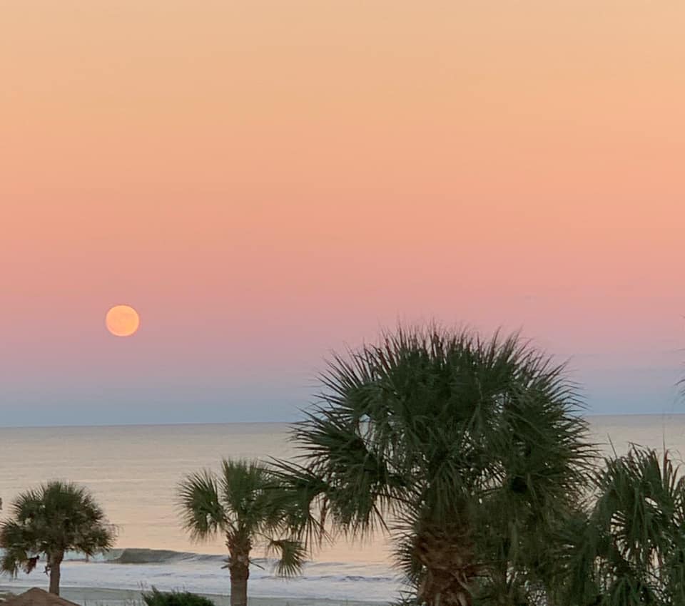 Condo Rental View of Sunrise North Myrtle Beach South Carolina