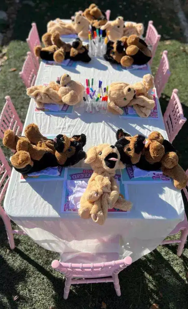 Build Bear Party