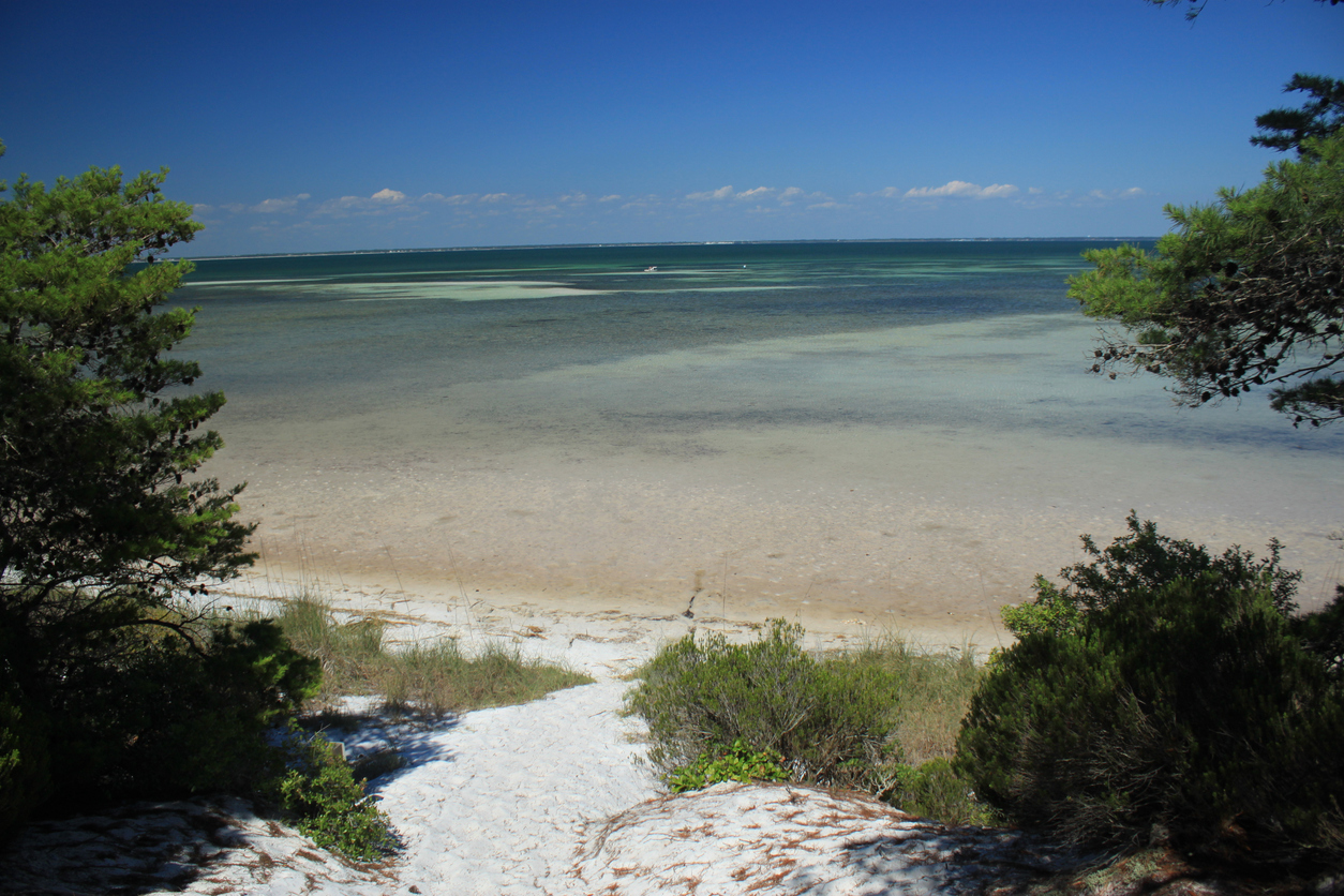 St Joseph Bay State Park in Florida