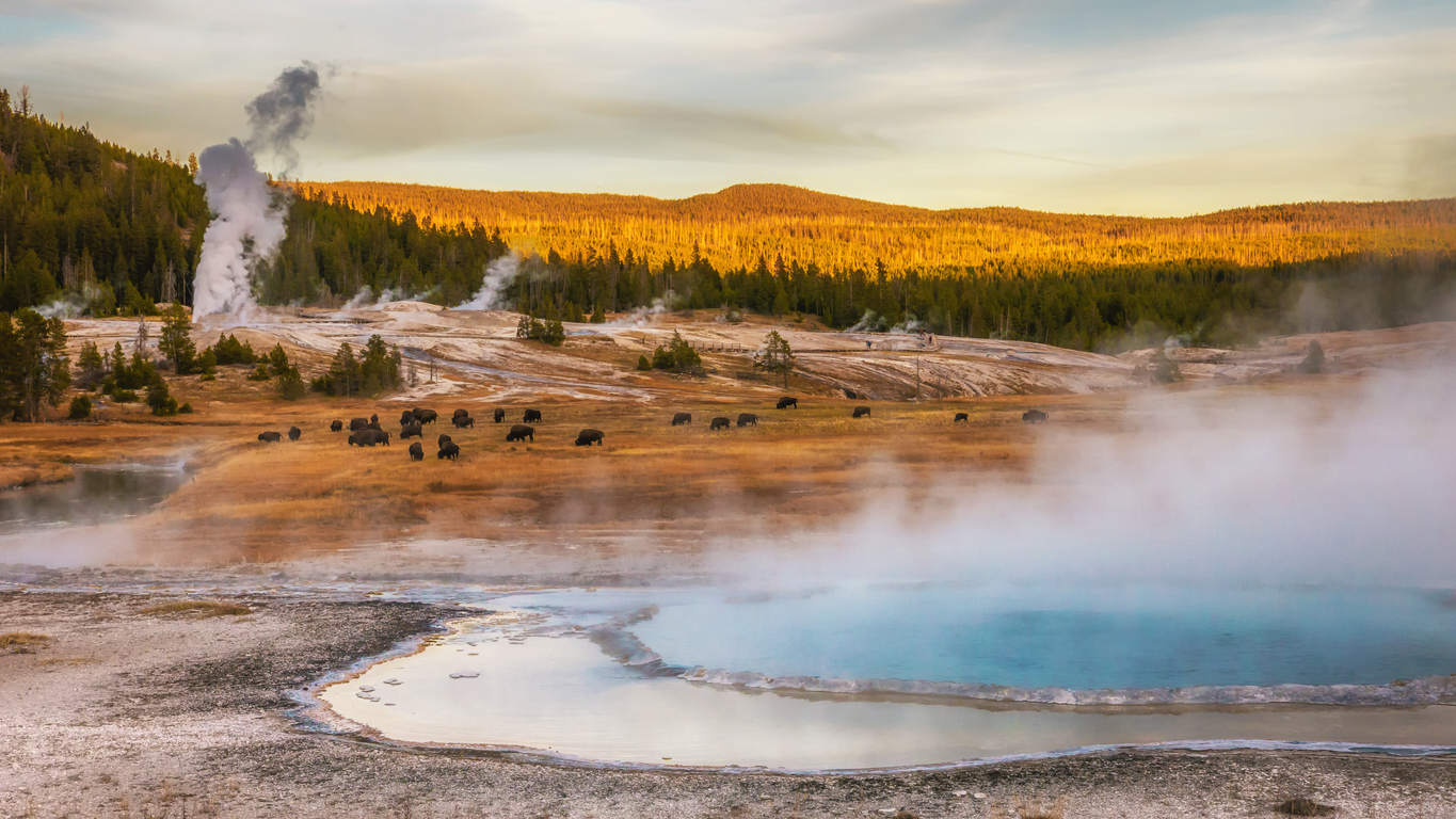 Yellowstone National Park