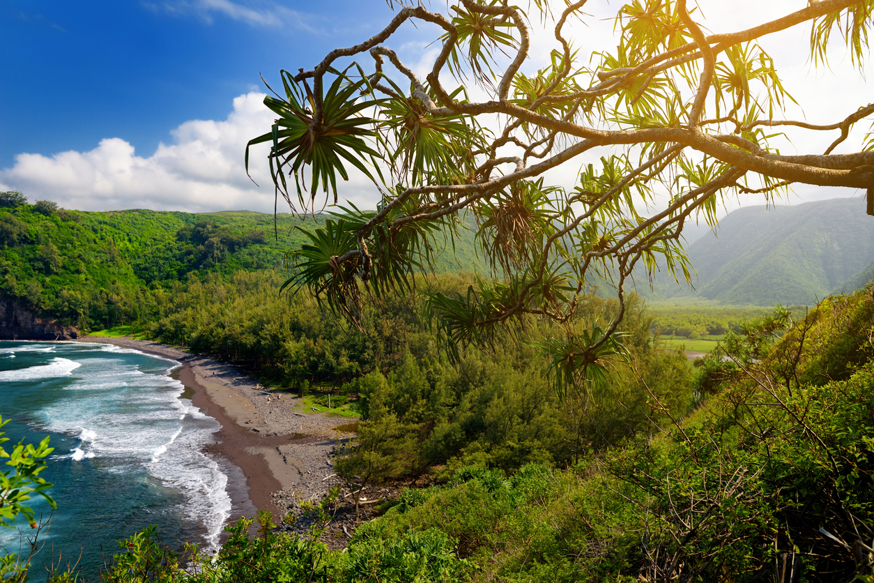 Things To Do Kohala Coast Big Island - Find Rentals