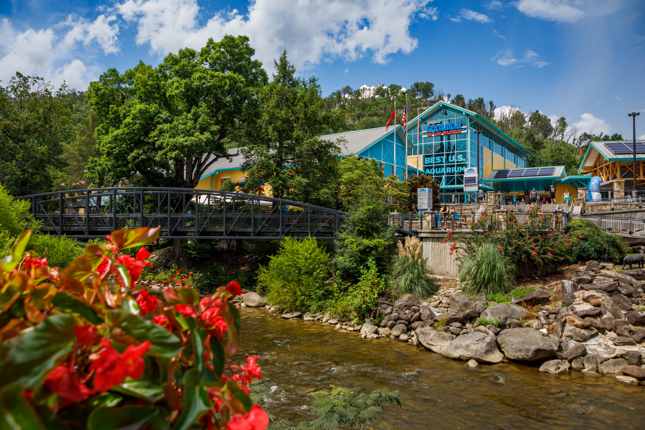 Ripley's Aquarium Smokies In Gatlinburg