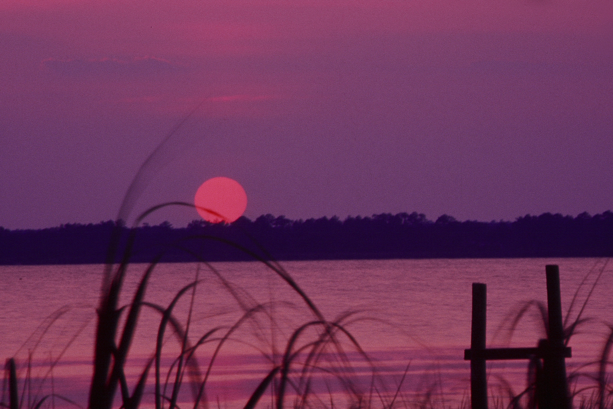 Nags Head Woods Preserve In Kill Devil Hills