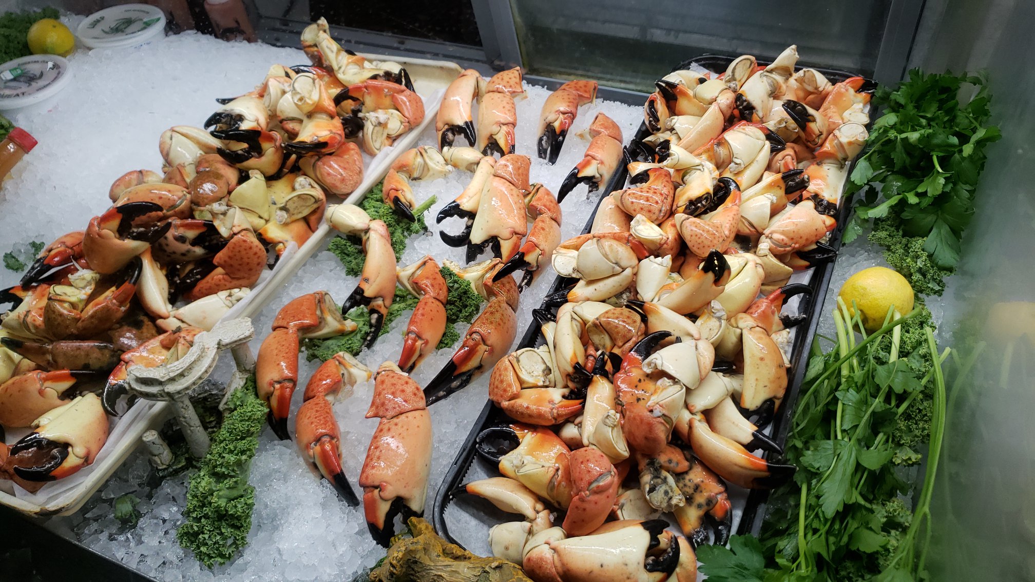 Naples Stone Crab Festival Paradise Coast Florida