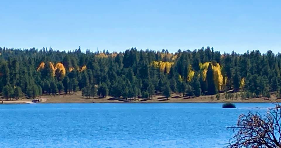 Things to do in Pinetop-Lakeside Arizona